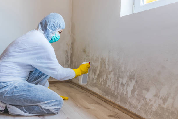 Mold inspector in Riva performing thermal imaging
